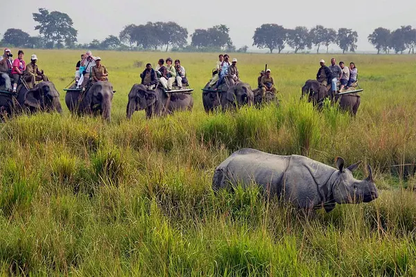 Wild Trails: The Assam Adventure