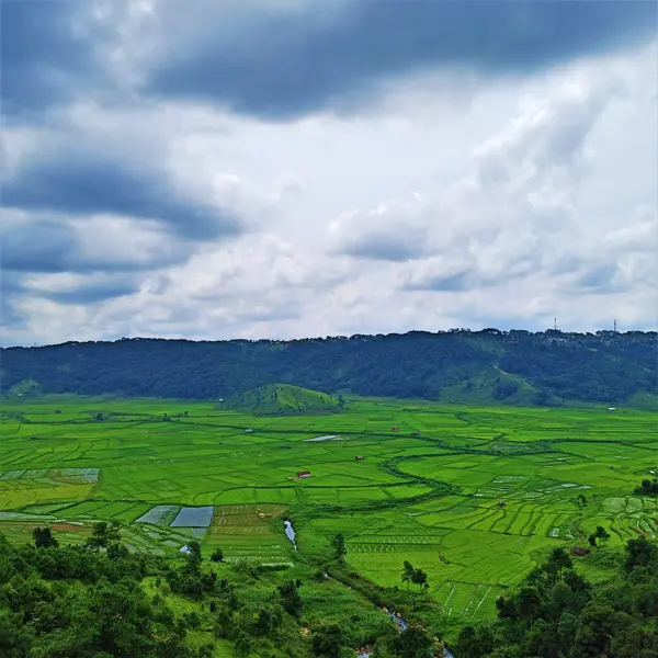 Misty Trails of Meghalaya