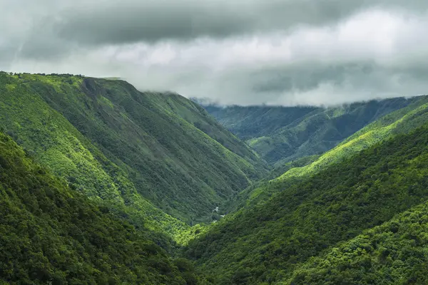 Misty Trails of Meghalaya
