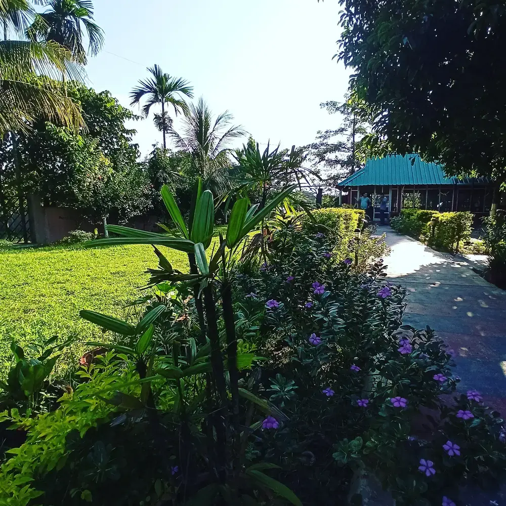 Arya Eco Resort Pobitora