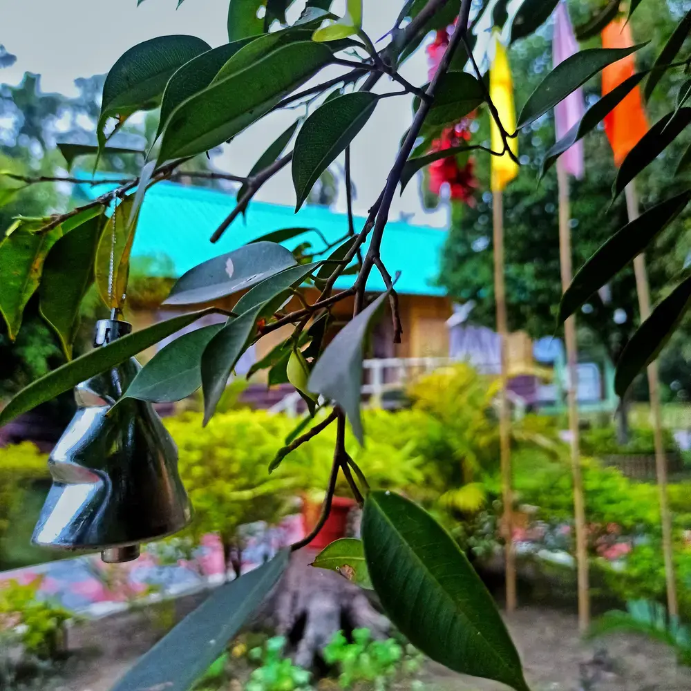 Arya Eco Resort Pobitora