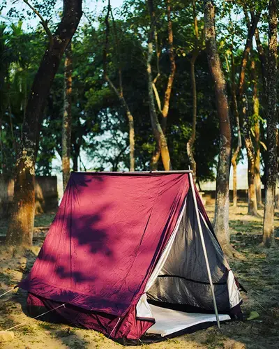 Tents